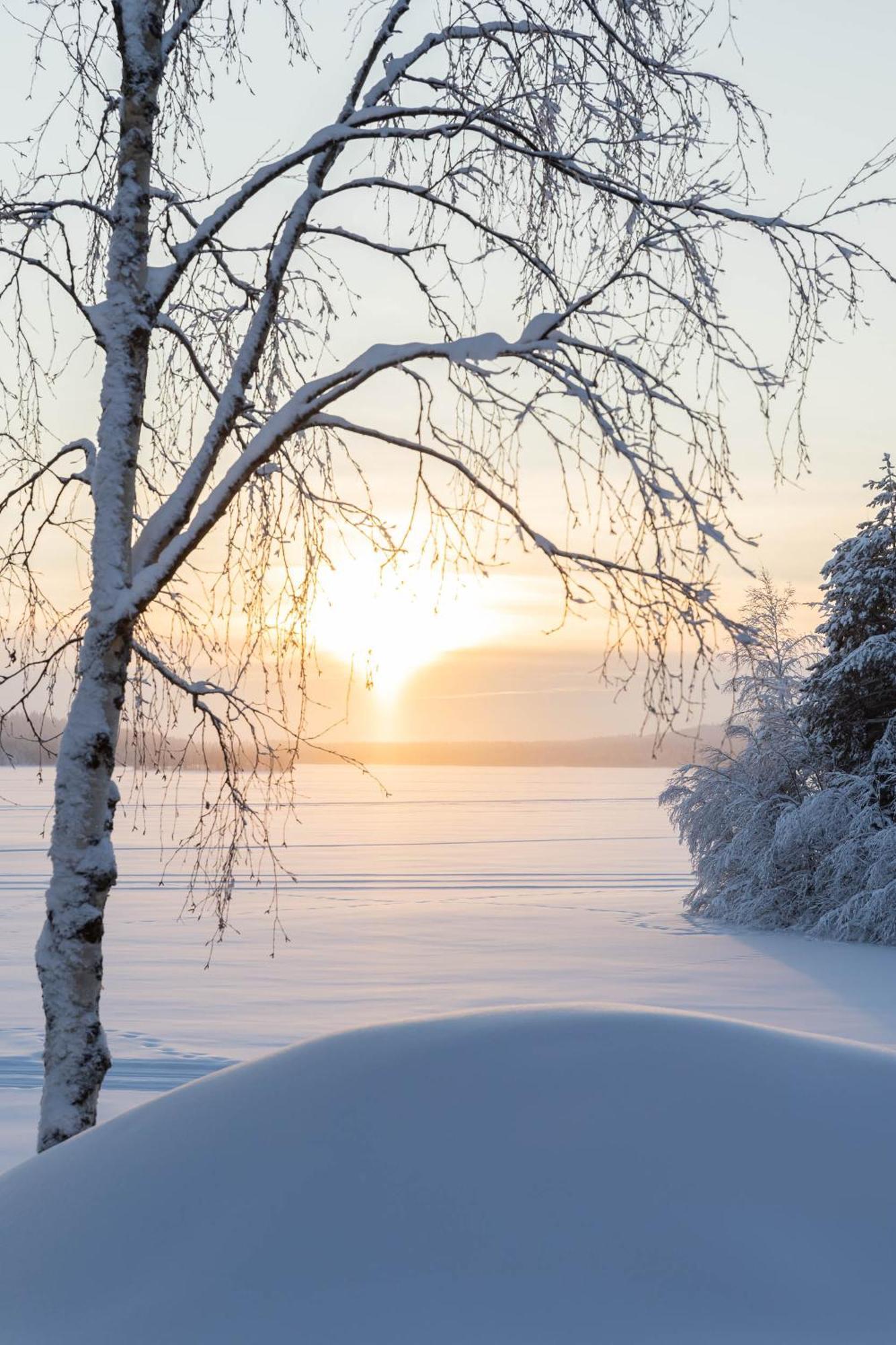 Lapland Arctic Cabins Kemijärvi Buitenkant foto